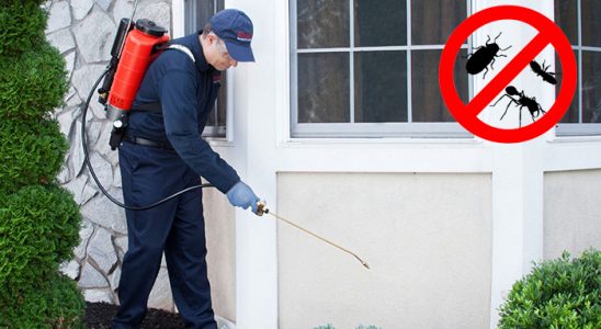 Döşemealtı Karınca İlaçlama böcek ilaçlama ve haşere kontrolü — ilaclama-tr.com